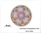 Aulacodiscus
